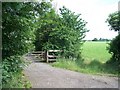 Footpath meets road