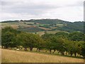 Cae pori ger Fferm Parciau / Grazing land at Parciau Farm