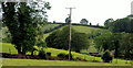 Drumlins near Glascar and Rathfriland