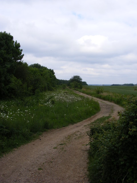 Bridleway towards Trimley Marshes Nature Reserve