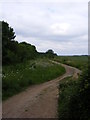 Bridleway towards Trimley Marshes Nature Reserve