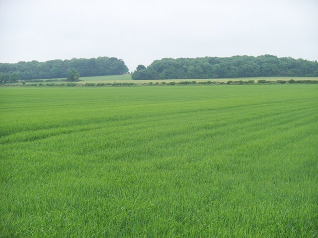 Gloucestershire farmland