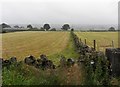 Fartown Townland