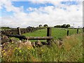 Carnalbanagh Townland