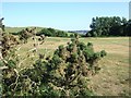 The Isle of Purbeck Golf Club on Dean Hill