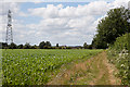 Footpath from Highwood Lane to Halterworth