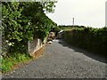 A track leading to Yarde Farm