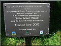 Plaque, Little Acorn Wood