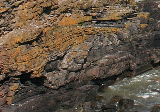 Fold in Cliffs near Bruce's Haven © Anne Burgess :: Geograph Britain ...