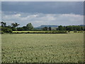 Farmland and view to Helsby Hill