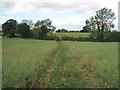 View of Footpath towards Hollows Farm