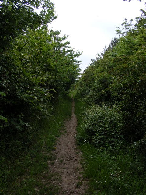 Footpath towards Trimley