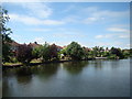 View of houses on Lake Rise from the Main Road bridge