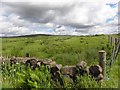 Clonetrace Townland