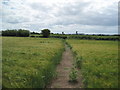SJ4963 : Footpath towards Hargrave by David Quinn