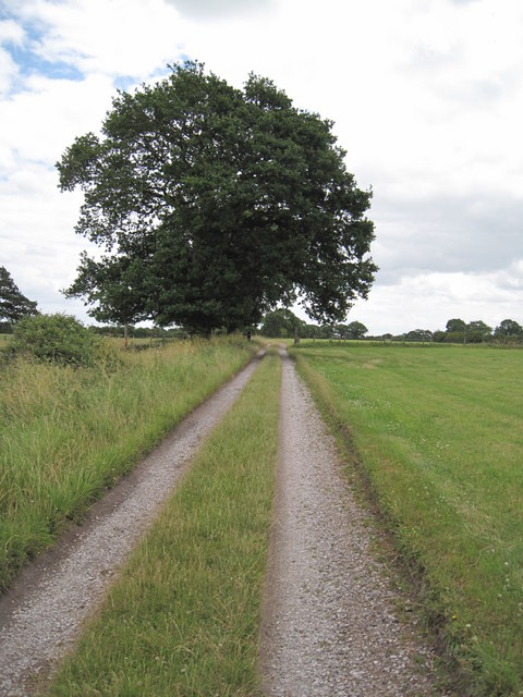 Driveway to Upper Brookhouse Farm