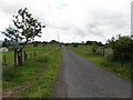 Knowehead Road near Cormeen