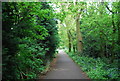 Path through Beckenham Place Park