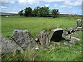 Vaccary Walling near Great Thorn Edge