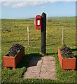 Post Box at Whinnyfold