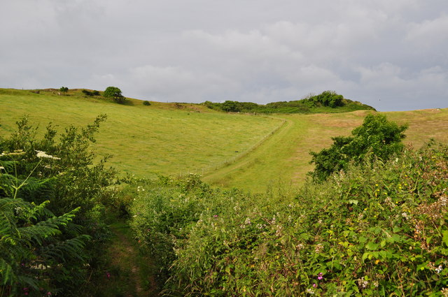 A footpath from Warcombe Lane to Damage Barton following the line of the fence