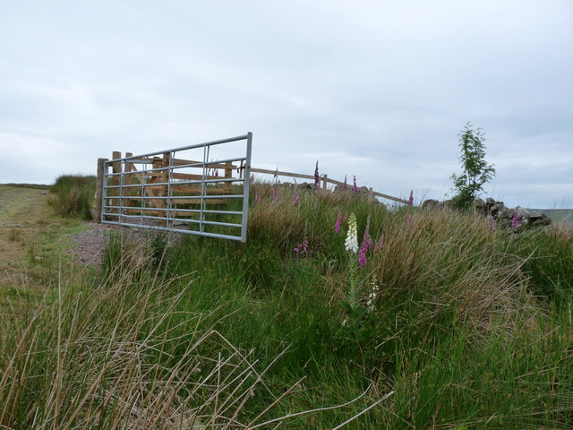 Loch Ryan Coastal Path