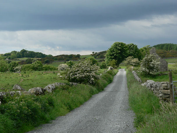 Farm lane south of Barwinnock