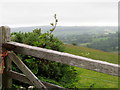 Field gate near Coney