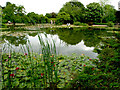 Burnby Hall Main Lake