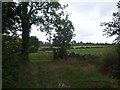 M9278 : Farmland at Carrowntryla by John M