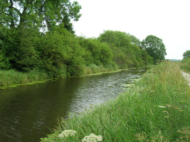Grantham Canal near Bassingfield
