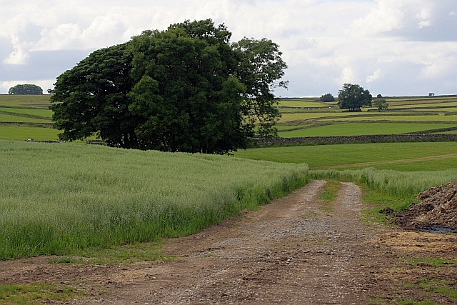Track to Pasture Barn
