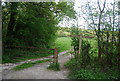 Fingerposts, Sussex Border Path, Hammond