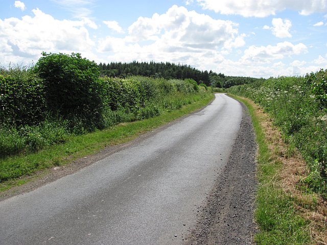 Minor road and Lithtillum Wood