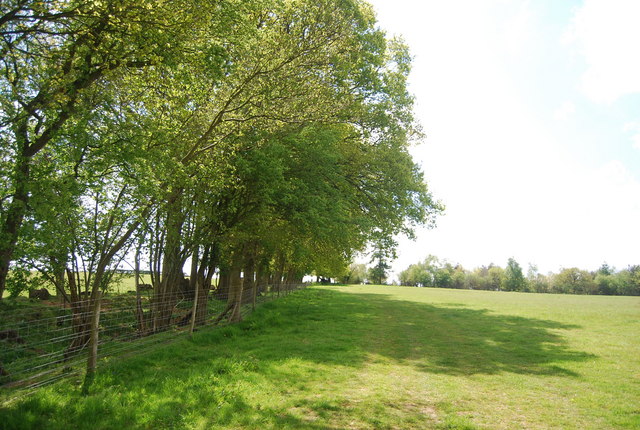 Footpath follows the hedge south from Pellingford Brook