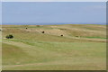 Looking across Flamborough Head golf course