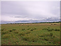 Countryside near Burnhouse