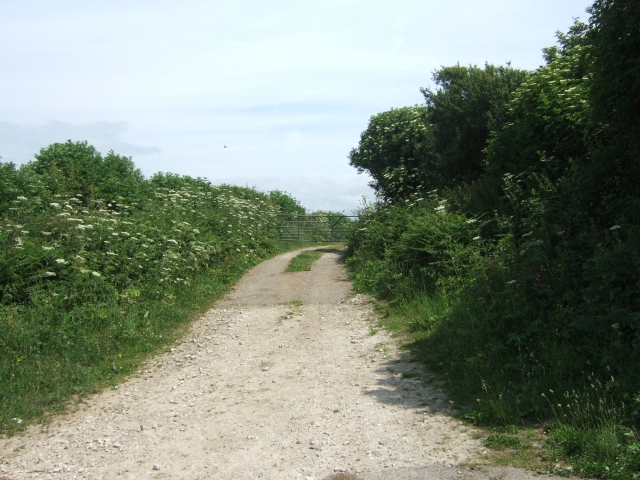 Farm track leading to fields east of Clay Lane