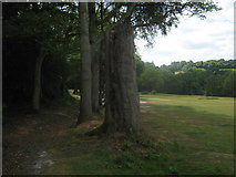 TQ4539 : Bridleway in Sweetwoods Park Golf Course by David Anstiss