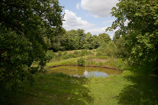 Small pond at Crampmoor Fish Farm