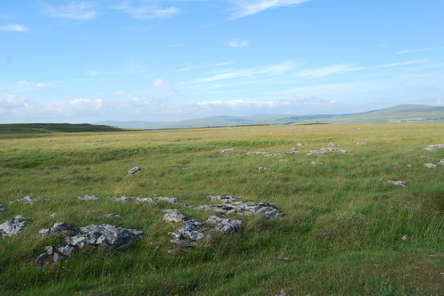 High upland limestone pasture