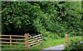 Gate near Downpatrick