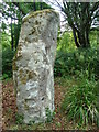 C2427 : Standing Stone at Glenalla by louise price