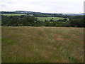 Footpath near Shaw Bank Wood