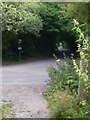 Bepton Road approached from byway to the south