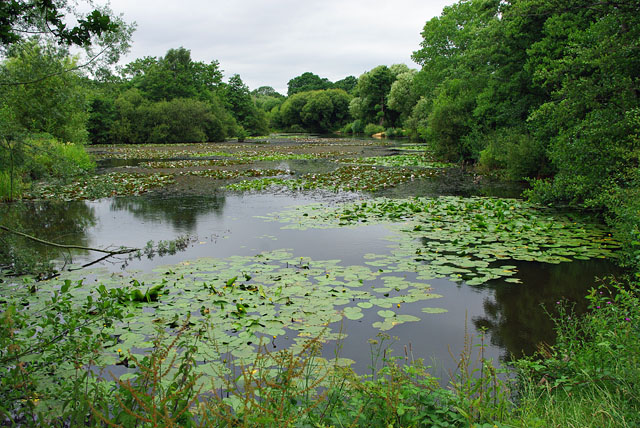 Lake In Riverside Garden Park C Robin Webster Geograph Britain And Ireland