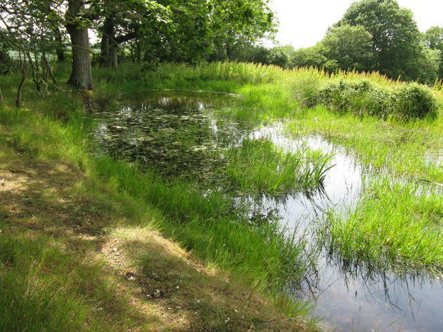 Hillside pond by path to Huggett's... © Dave Spicer :: Geograph Britain ...