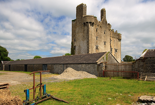 Castles of Munster: Killaleigh, Tipperary (4)