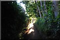 Footpath entering Powder Mills