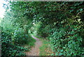 Footpath in Sevenoaks Weald